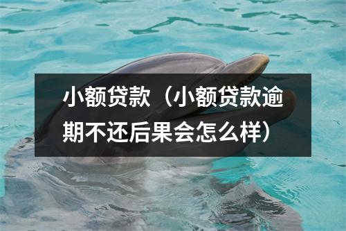 小额贷款（小额贷款逾期不还后果会怎么样）