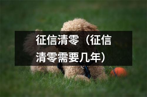 征信清零（征信清零需要几年）