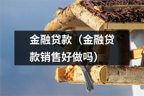 金融贷款（金融贷款销售好做吗）