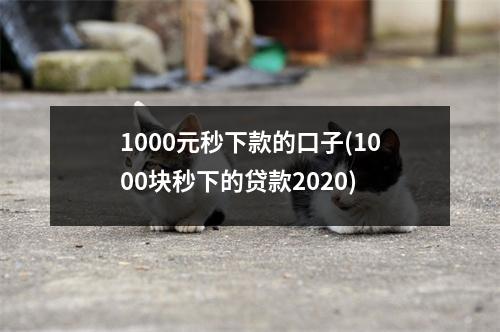 1000元秒下款的口子(1000块秒下的贷款2020)