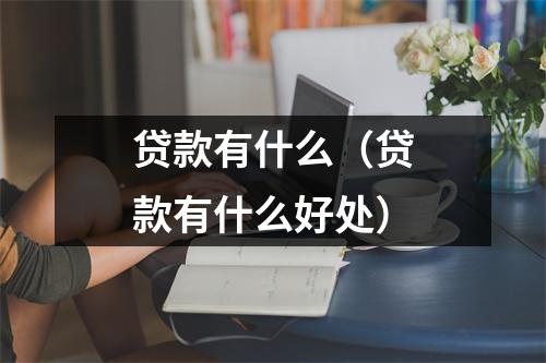 贷款有什么（贷款有什么好处）