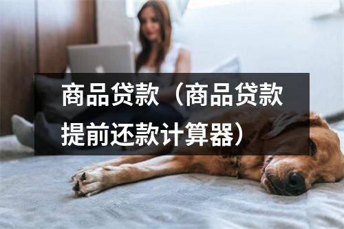 商品贷款（商品贷款提前还款计算器）
