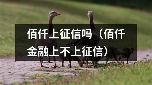 佰仟上征信吗（佰仟金融上不上征信）