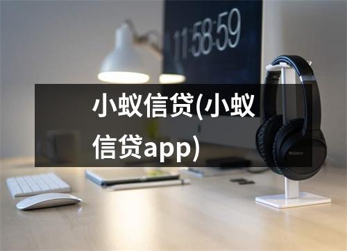 小蚁信贷(小蚁信贷app)