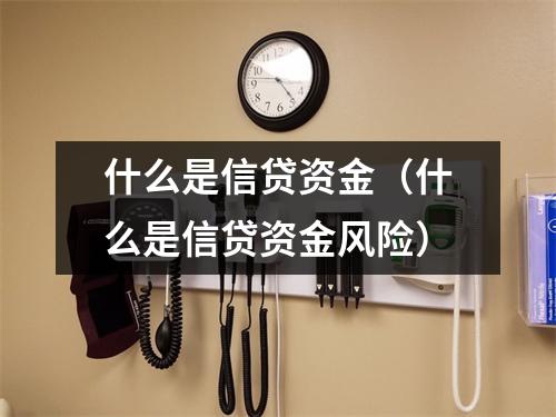 什么是信贷资金（什么是信贷资金风险）