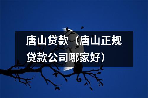 唐山贷款（唐山正规贷款公司哪家好）