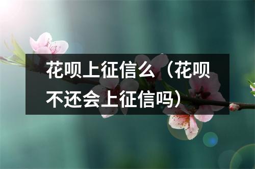花呗上征信么（花呗不还会上征信吗）