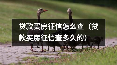 贷款买房征信怎么查（贷款买房征信查多久的）