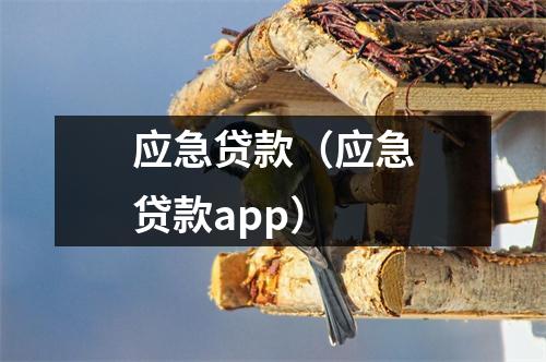 应急贷款（应急贷款app）