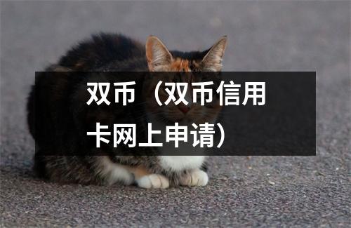 双币（双币信用卡网上申请）