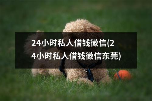 24小时私人借钱微信(24小时私人借钱微信东莞)