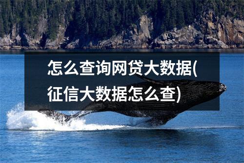 怎么查询网贷大数据(征信大数据怎么查)