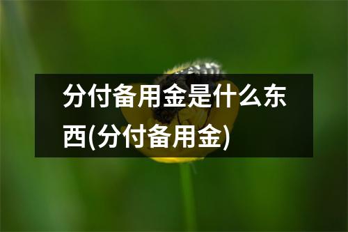 分付备用金是什么东西(分付备用金)