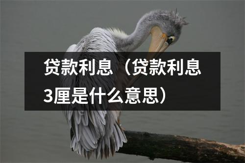 贷款利息（贷款利息3厘是什么意思）