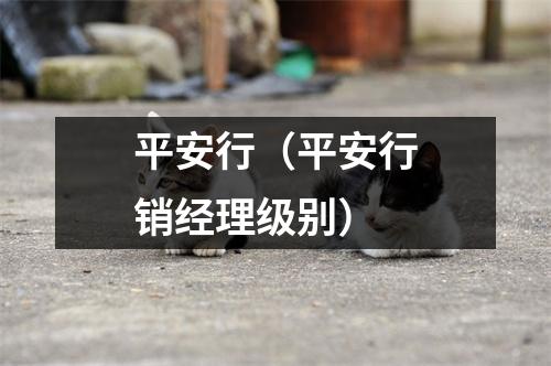 平安行（平安行销经理级别）