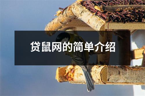贷鼠网的简单介绍