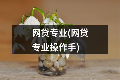 网贷专业(网贷专业操作手)