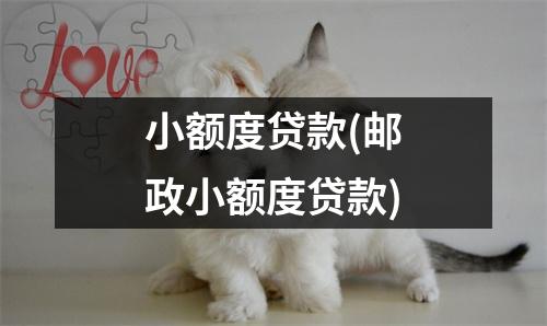 小额度贷款(邮政小额度贷款)
