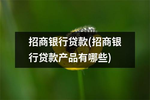 招商银行贷款(招商银行贷款产品有哪些)