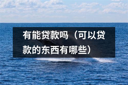 有能贷款吗（可以贷款的东西有哪些）