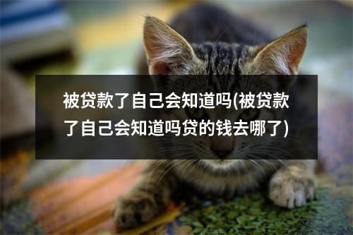 被贷款了自己会知道吗(被贷款了自己会知道吗贷的钱去哪了)
