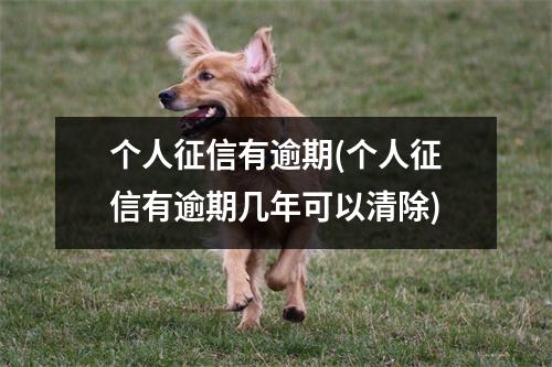 个人征信有逾期(个人征信有逾期几年可以清除)