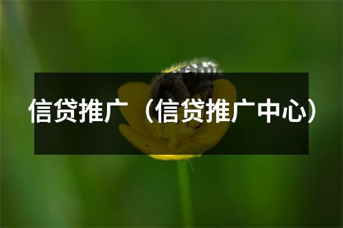 信贷推广（信贷推广中心）