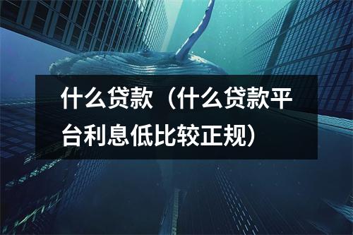 什么贷款（什么贷款平台利息低比较正规）