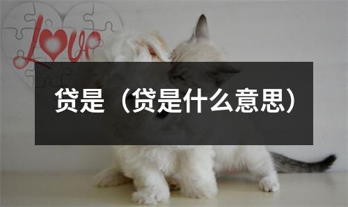 贷是（贷是什么意思）