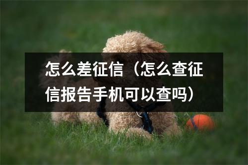 怎么差征信（怎么查征信报告手机可以查吗）