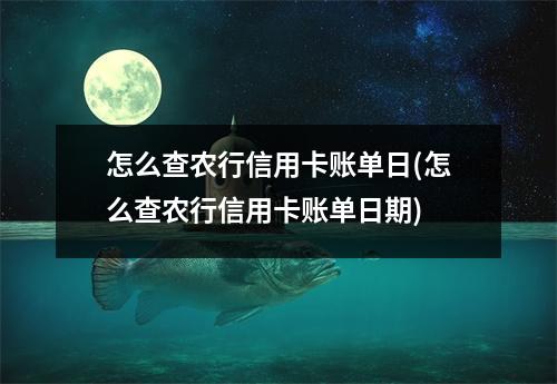 怎么查农行信用卡账单日(怎么查农行信用卡账单日期)