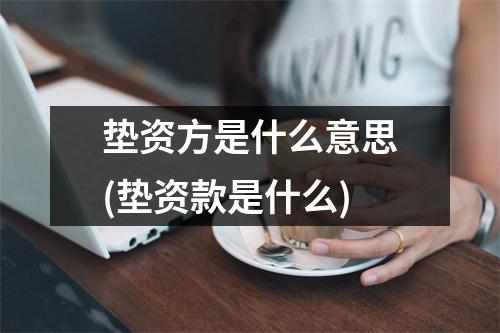 垫资方是什么意思(垫资款是什么)