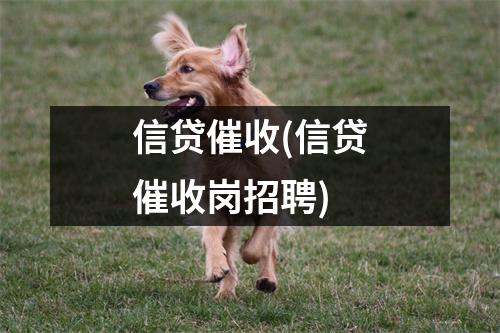 信贷催收(信贷催收岗招聘)