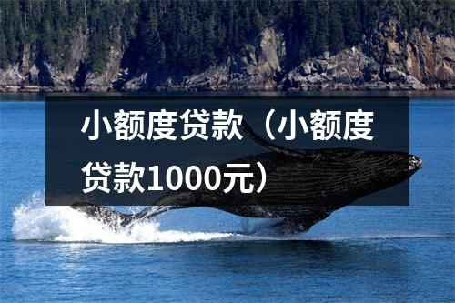 小额度贷款(小额度贷款1000元)