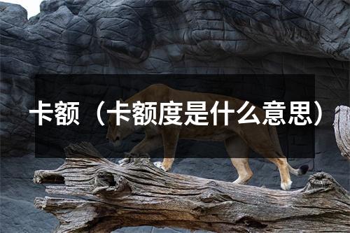 卡额（卡额度是什么意思）