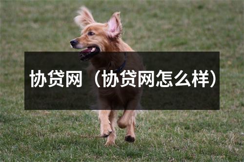 协贷网（协贷网怎么样）