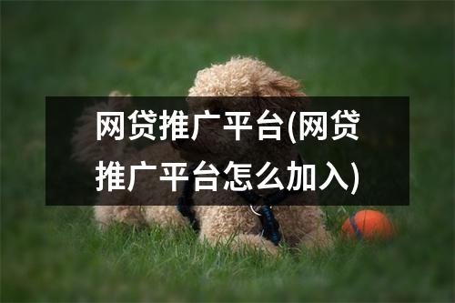 网贷推广平台(网贷推广平台怎么加入)