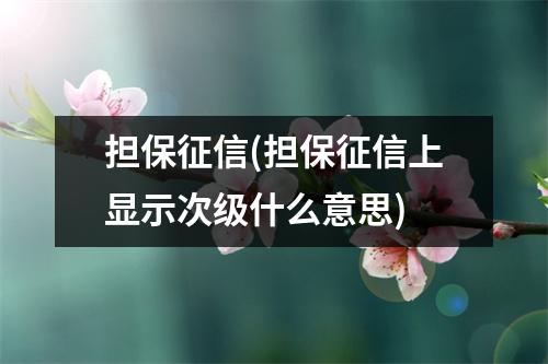 担保征信(担保征信上显示次级什么意思)