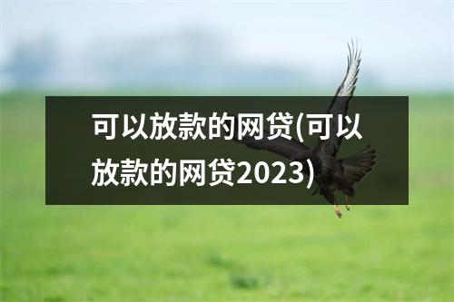 可以放款的网贷(可以放款的网贷2023)
