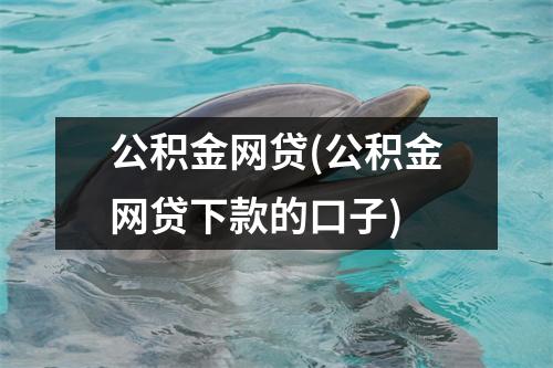 公积金网贷(公积金网贷下款的口子)