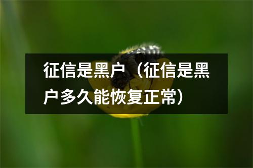 征信是黑户（征信是黑户多久能恢复正常）