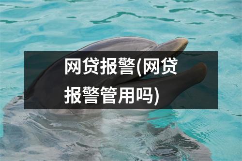 网贷报警(网贷报警管用吗)