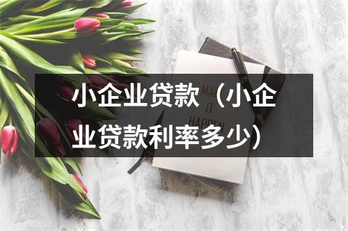小企业贷款（小企业贷款利率多少）