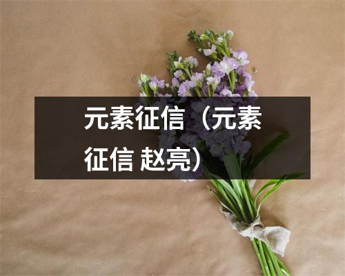 元素征信（元素征信 赵亮）