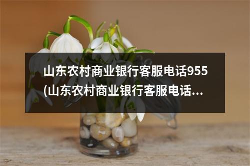 山东农村商业银行客服电话955(山东农村商业银行客服电话9559)