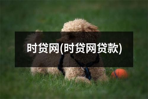 时贷网(时贷网贷款)
