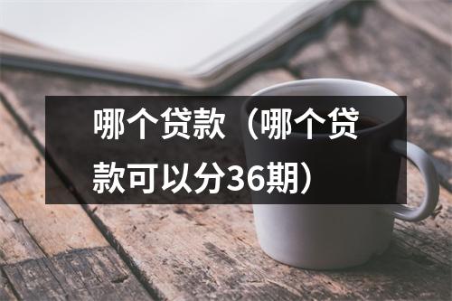 哪个贷款（哪个贷款可以分36期）