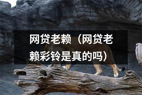 网贷老赖(网贷老赖彩铃是真的吗)