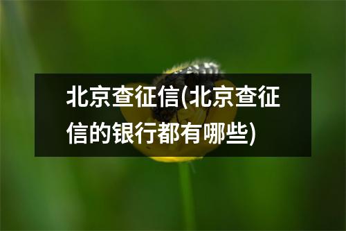 北京查征信(北京查征信的银行都有哪些)