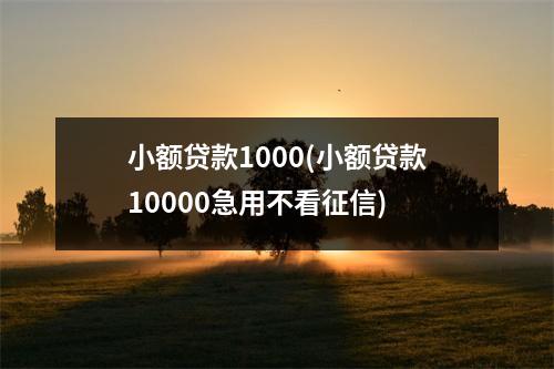 小额贷款1000(小额贷款10000急用不看征信)
